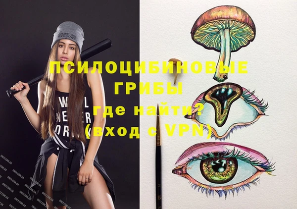 ешки Коряжма