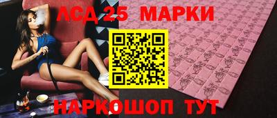 индика Кандалакша