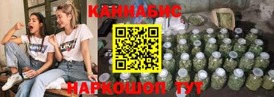 индика Кандалакша
