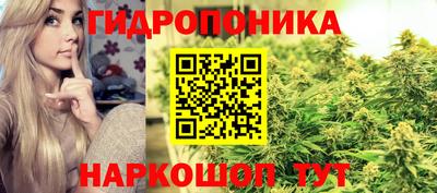 индика Кандалакша