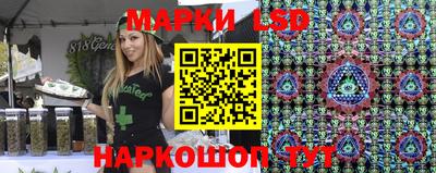 индика Кандалакша