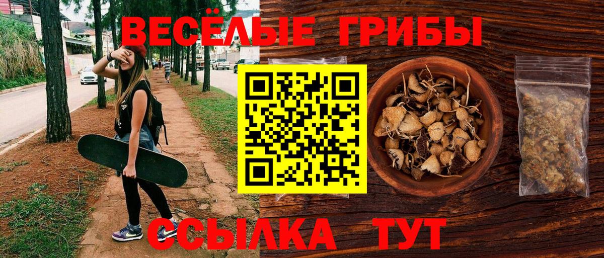 Галлюциногенные грибы Psilocybine cubensis Хасавюрт